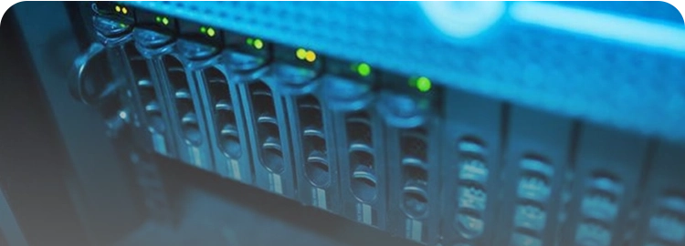 クロップ_1767758586429